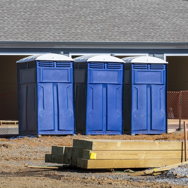 how can i report damages or issues with the porta potties during my rental period in Forest Home